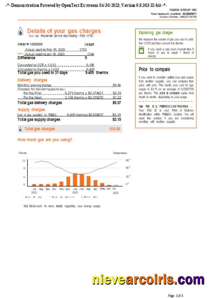 New York PSEG utility business bill, page 3